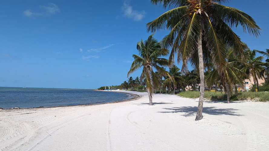 MIA_2023-08-14 11-06-57_PXL_20230814_150657392